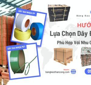 Hướng dẫn lựa chọn dây đai nhựa PP, PET phù hợp với nhu cầu sử dụng
