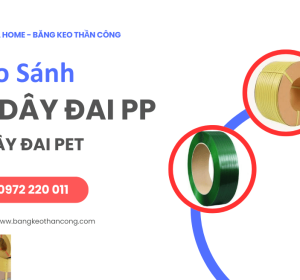 So sánh dây đai nhựa PP và dây đai nhựa PET