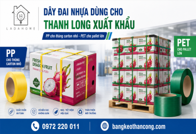 Dây đai đóng pallet thanh long xuất khẩu