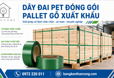 Dây đai PET cho pallet gỗ xuất khẩu