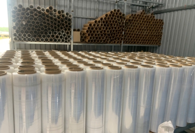 Hình Thức Thanh Toán